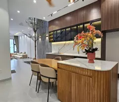 Nhà phố tuyệt đẹp, 4.5x30m, Đặng Nhữ Lâm, 6.6 tỷ