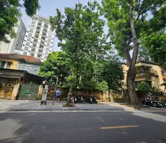 🏢 SIÊU HIẾM - NHÀ LÔ GÓC 3 THOÁNG - MẶT PHỐ TĂNG BẠT HỔ 🏢