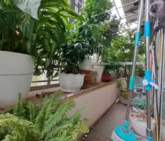 Bán Nhà Phố trần Quý Kiên, Cầu Giấy, 6 tầng thiết kế thông sàn, vỉa hè, ô tô tránh, kinh  doanh