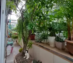Bán Nhà Phố trần Quý Kiên, Cầu Giấy, 6 tầng thiết kế thông sàn, vỉa hè, ô tô tránh, kinh  doanh
