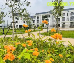 Bán BT HUD Mê Linh 70 tr/m. Ân hạn gốc 5 năm.