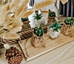 GIÁM SẢM SÂU CHƯA ĐẾN 8 TỶ BÁN NHANH NHÀ NGUYÊN CĂN 1 TRỆT 3 LẦU TRẦN ANH TÔNG P8 ĐÀ LẠT
