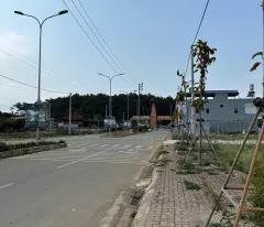 Bán lô đất vàng 150m full ONT Rừng Thông Bản Áng, Mộc Châu
