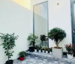 BÁN CĂN NHÀ MẶT TIỀN HẺM Ô TÔ SIÊU ĐẸP VÀO Ở NGAY , GIÁ THÌ TỐT CHUẨN VỀ DIỆN TÍCH 
GIÁ GIẢM CHÀO