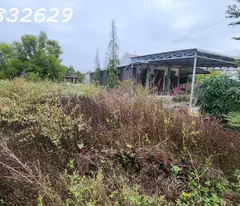 Bán 330m2 đất ONT Tân Phước - TX LaGi giá ngộp chỉ 950 triệu sổ hồng riêng