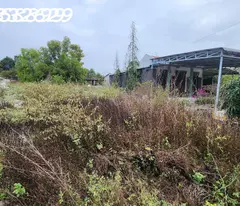 Bán 330m2 đất ONT Tân Phước - TX LaGi giá ngộp chỉ 950 triệu sổ hồng riêng