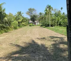 SANG 2 SỔ (16X141=2209,3M2) XÍ NGHIỆP CHỢ TRƯỜNG QUANH ĐẤT, NHÀ HIỆN HỮU Ở LIỀN 190TR