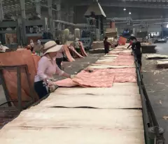 👉Cho Thuê Kho Xưởng Tân Cảng IDC Long Bình, TP Biên Hòa, Tỉnh Đồng Nai