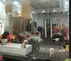💥Nhà Phố Thái Hà. 52m2 x 6 Tầng. M/T 4.3. giá 22.5 Tỷ. Thang Máy. Ô Tô Quận Đống Đa💥