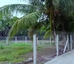 Chính Chủ Bán Đất An Sơn, Thuận An – 500m², Thổ Cư 100m², Giá 4.6 Tỷ