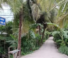 Chính Chủ Bán Đất An Sơn, Thuận An – 500m², Thổ Cư 100m², Giá 4.6 Tỷ
