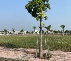 Cần Bán Đất An Điền, Cách Chợ  Bến Cát 800 mét – 100m², Mặt Tiền 7m, Giá 1.05 Tỷ