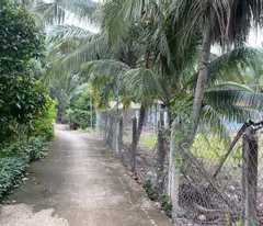 Chính Chủ Cần Bán Đất An Sơn, Thuận An – 686m², Thổ Cư 200m², Giá 6.311 Tỷ