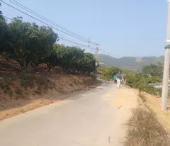 CẦN BÁN GẤP 5 LÔ BIỆT THỰ SIÊU ĐẸP KIẾN THANH-THỊ XÃ CHŨ