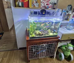 BÁN CĂN HỘ TẬP THỂ 50M-2.99TY-VĂN CHƯƠNG -ĐỐNG ĐA
