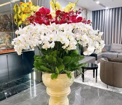 Cần bán 90,2m nhà 5 tầng Shophouse KĐT Khai Sơn - View trường THCS, vườn hoa và tòa chung cư K2