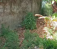 Bán nhà 270m2 Hẻm Lê Hồng Phong, Tân Thiện, Thị xã LaGi giá rẻ nhất 1.35 tỷ