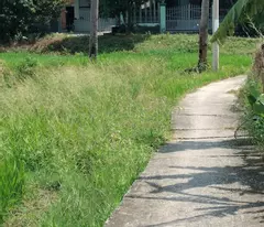 Bán 1645m2 đất Bình Tân, thị xã LaGi giá rẻ nhất 1.4 tỷ