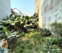 SIÊU HIẾM - CỔ NHUẾ - MT 5.3M -  Ô TÔ