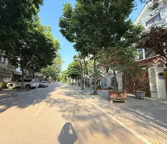 bán Biệt Thự Đống Đa, 80m, lô góc, ô tô tránh, vào nahf