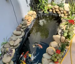Bán nhà 2,5 tầng KQH Bàu Vá - Trường An - TP Huế mới 100% Full Nội Thất.❌