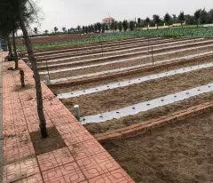 CHỈ CÒN 1 LÔ DUY NHẤT TRỤC CHÍNH 10M- 86M2- 2.3 TỶ