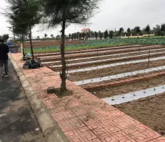 CHỈ CÒN 1 LÔ DUY NHẤT TRỤC CHÍNH 10M- 86M2- 2.3 TỶ