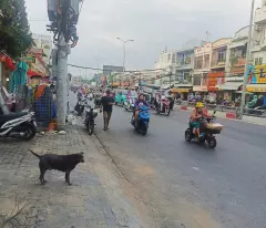Bán Nhà Mặt Tiền Đường Phạm Hùng, P.10, Q.8 - Diện Tích 5x21m - Giá 16,5 Tỷ