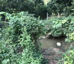 CỰC HÓT – CHÍNH CHỦ CHO THUÊ LÔ ĐẤT HƠN 2000M2 Ở YÊN THỦY, HÒA BÌNH  – GIÁ THUÊ SIÊU RẺ