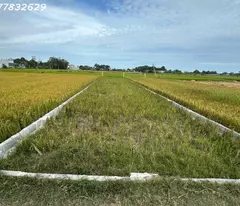 Chỉ 900 triệu lô đất 170m2 ODT Phường Phước Lộc - TX LaGI Sổ hông riêng