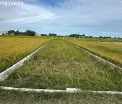 Chỉ 900 triệu lô đất 170m2 ODT Phường Phước Lộc - TX LaGI Sổ hông riêng