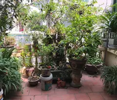 HIẾM LÔ GÓC, 3 THOÁNG BỒ ĐỀ 70M2* 4 TẦNG* 9.0 TỶ. FULL NỘI THẤT