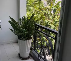 Biệt thự 17x19m MT đường số KDC An Phú Hưng - P Tân Phong Q7 - 4 tầng - căn góc - giá 37,9 tỷ