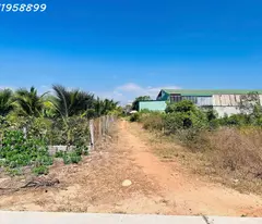 Bán đất thổ cư Hẻm Nguyễn Tri Phương, Tân Bình, thị xã LaGi giá đầu tư