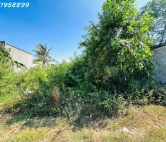 Bán đất thổ cư Hẻm Nguyễn Tri Phương, Tân Bình, thị xã LaGi giá đầu tư