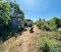 Bán đất thổ cư Hẻm Nguyễn Tri Phương, Tân Bình, thị xã LaGi giá đầu tư