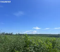 Bán 4.2 mẫu đất Tân Xuân - Hàm Tân giá ngộp chỉ 1.1 tỷ/ mẫu