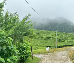 Đất nền Chờ Lồng Mộc Châu giá rẻ, View đẹp