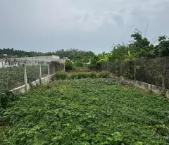 🔥 BÁN LÔ ĐẤT VÀNG - ĐỐI DIỆN KCN HIỆP THẠNH, GÒ DẦU, TÂY NINH 🔥