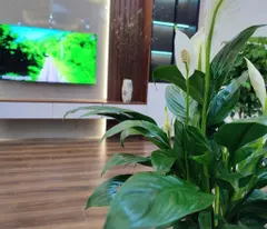 💥PHẢI THẬT NHANH 💥 Quỹ căn chung cư CT1&CT2 Viglacera Đại Mỗ chỉ từ 3.x tỷ