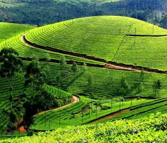 bán nhà căn view  toàn khu - rộng dãi cực xinh