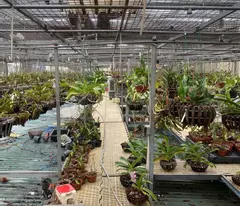Bán đất ngũ nhạc 360M không sổ ô tô tránh kinh doanh hoàng mai