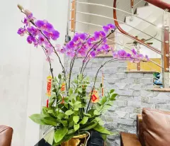 BÁN NHÀ 4 TẦNG, 50M2, KIM GIANG - THANH LIỆT - 10.5 TỶ