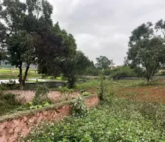 Chính chủ bán hơn 3000m2 có 400m2 thổ cư tại Nhuận Trạch, Lương Sơn, Hoà Bình