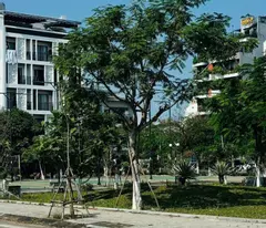 Giá Tốt - Mặt Tiền Khuê Mỹ Đông 14 Toà Nhà Và Căn Hộ Dòng Tiền 240 triệu/ năm.