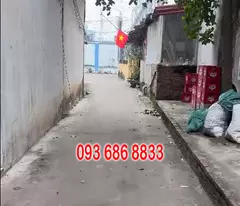 51m2 - Ngay phố Tía sầm uất - Thổ cư chính chủ mới ra lò còn nóng bỏng tay!