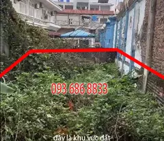 51m2 - Ngay phố Tía sầm uất - Thổ cư chính chủ mới ra lò còn nóng bỏng tay!