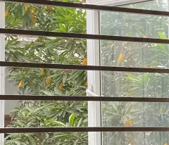 CHÍNH CHỦ BÁN NHÀ 30 M2, 5 TẦNG, NGÕ 32 PHỐ VIÊN, BẮC TỪ LIÊM