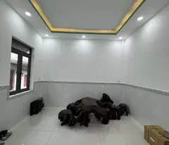 Nhà Man Thiện, TNPA, 80m2, ngang 5m, HXH, ngay chợ đêm, nhỉnh 5.5 tỷ
