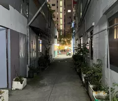 Bán nhà hẻm xe hơi, 3 Căn ra MT Đường Tân Thắng, Q Tân Phú